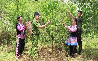 Người Mông ơn Đảng ấm no bản làng (bài cuối) .CÔNG AN BẠC LIÊU